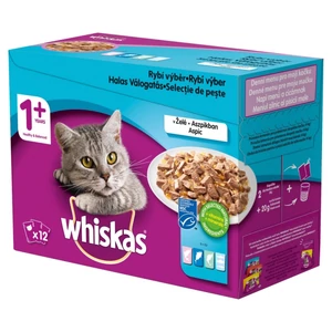 Whiskas 1+ Mulitpack Halas válogatás aszpikban 12x85g
