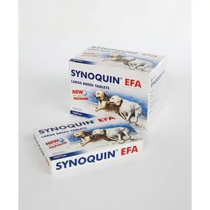 Synoquin Large tabletta 30x