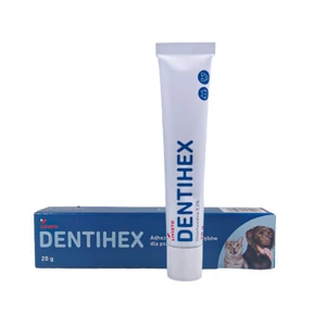 Dentihex paszta 20g(Dentisept paszta)