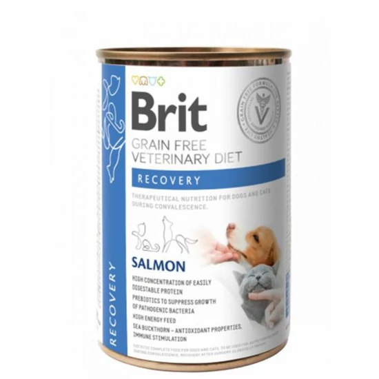 Brit GF Veterinary Diets Recovery lazac 400g