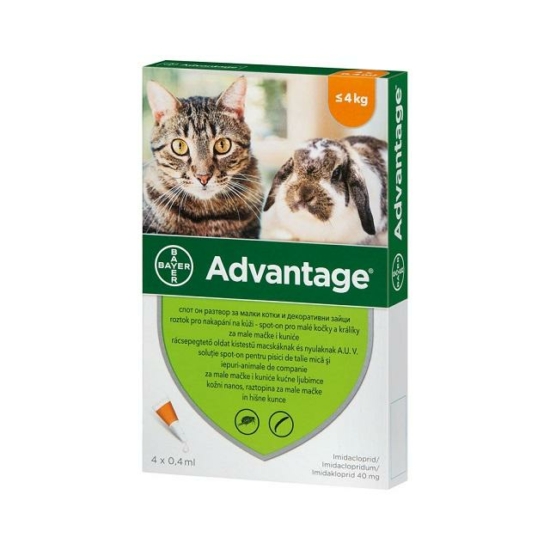 Advantage spot-on bolhaírtó macska és nyúl 4kg-ig 4x0,4ml