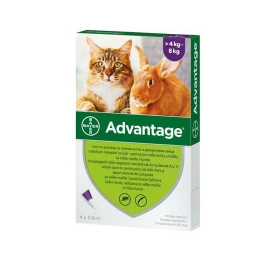 Advantage spot-on bolhaírtó macska és nyúl 4kg felett 4x0,8ml