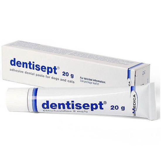 Dentisept paszta 20g